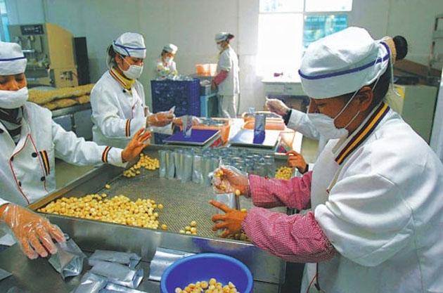 干果加工生產車間風淋室 干果加工生產車間風淋室